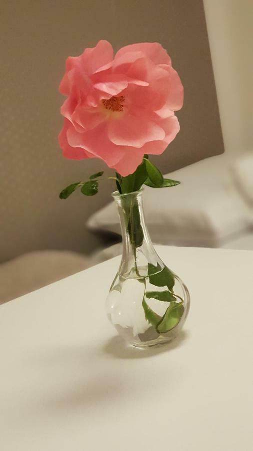 Pokoje Goscinne Venezia 차플리넥 외부 사진